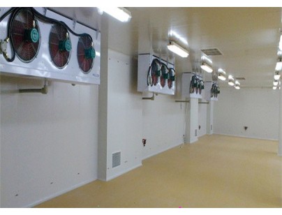 廈門中航2400m3低溫工業(yè)防爆冷庫(kù)工程建造方案