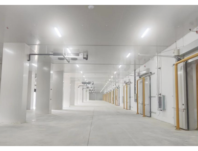 武漢長(zhǎng)發(fā)永來冷鏈物流現(xiàn)代化高標(biāo)變溫冷庫(kù)規(guī)劃設(shè)計(jì)建造項(xiàng)目