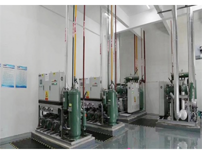 湖北周黑鴨80000m3生產(chǎn)加工型成品低溫食品冷庫工程建造方案