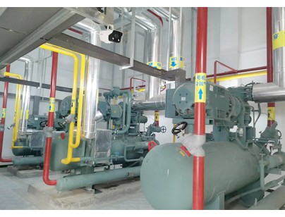 河北尚品（澳門）15000m3倉儲物流低溫冷藏冷凍庫建造方案