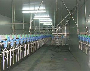 屠宰冷庫冷量計(jì)算方法