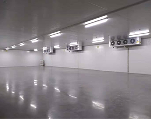 諸城建造試劑藥品冷庫(kù)gsp新版定制標(biāo)準(zhǔn)規(guī)范