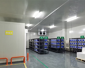 gsp醫(yī)藥冷庫2-8度冷鏈試劑庫房定制，面積要求建造多大面積