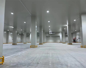 600平多溫醫(yī)藥冷庫一平米安裝價格是多少?