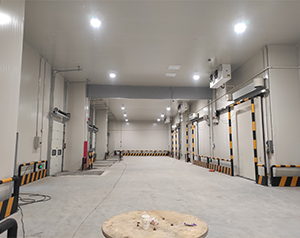 食品公司內(nèi)建造一個1000平包子、水餃速凍冷庫費用是多少?