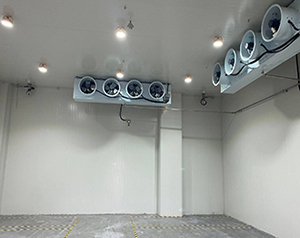 防爆冷庫是什么意思？化工防爆冷庫廠家聯(lián)系方式