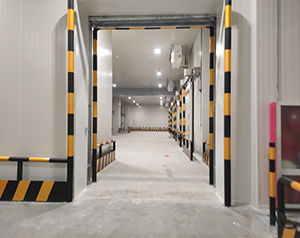 果蔬冷庫建設多少錢一平方