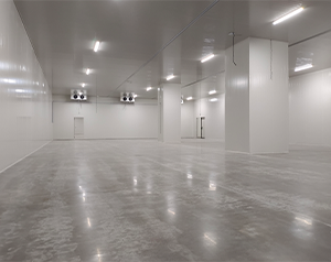 高效血漿蛋白冷庫(kù)建造指南：關(guān)鍵要點(diǎn)解析