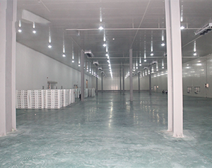 5000平米生鮮電商冷庫(kù)設(shè)計(jì)建造標(biāo)準(zhǔn)造價(jià)核算