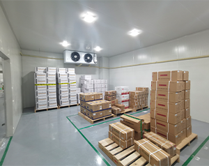 疾控中心50m³醫(yī)用低溫倉(cāng)庫(kù)GSP認(rèn)證及建設(shè)標(biāo)準(zhǔn)