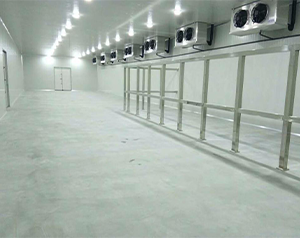 -20℃生物制品冷凍庫(kù)安裝滿足gsp/gmp整體冷庫(kù)造價(jià)多少？