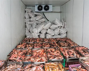 50平米的(-18℃~-23℃)海鮮冷庫建造投資成本是多少?