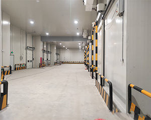 果蔬進入冷庫前如果溫差過大，必須進行預冷處理