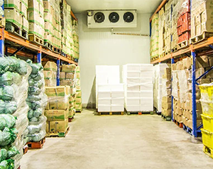 5000噸蔬菜恒溫庫(kù)造價(jià)需要多少錢？