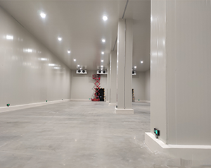 果樹(shù)品種的遺傳性與果實(shí)耐貯性有些什么關(guān)系