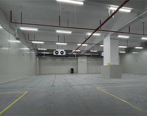 50噸果蔬氣調(diào)庫造價是多少錢一立方米？