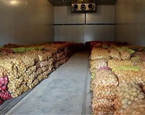 冷庫儲存紅棗大概多少立方一噸?