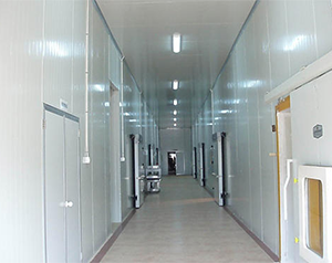 建造保鮮冷庫多少錢一平米，葡萄冷藏用氣調(diào)庫