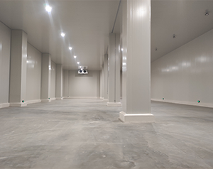 海棠果冷庫(kù)解決海棠果冷藏問(wèn)題