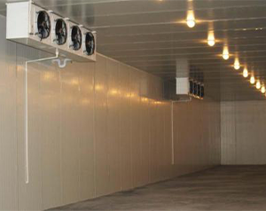 恒溫庫建設多少錢一平方