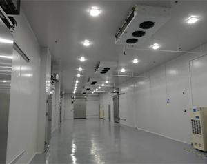 中藥材烘干庫房設(shè)計(jì)方案及流程