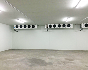 水產(chǎn)冷庫造價(jià)標(biāo)準(zhǔn)多少錢？水產(chǎn)海鮮冷庫定制安裝方案