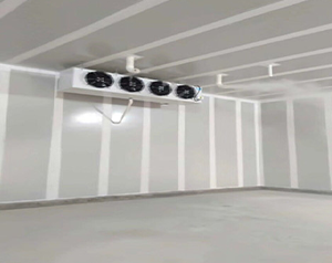 陜西大型氣調(diào)冷庫(kù)定制安裝需要多少錢?