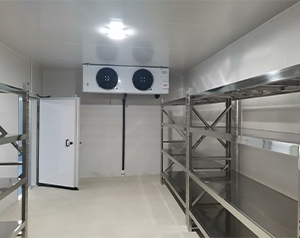 海南酒店廚房雙溫冷庫設(shè)計(jì)怎么做？