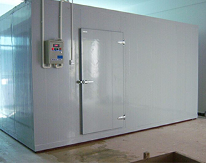 江西小型冷庫設(shè)計生產(chǎn)廠家