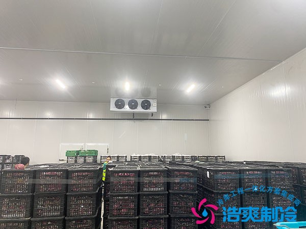 馬鈴薯保鮮冷庫(kù)建造預(yù)算費(fèi)用