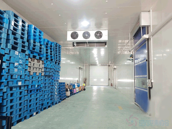 冷凍庫(kù)安裝報(bào)價(jià)多少錢？冷凍庫(kù)建造價(jià)格是怎么計(jì)算的