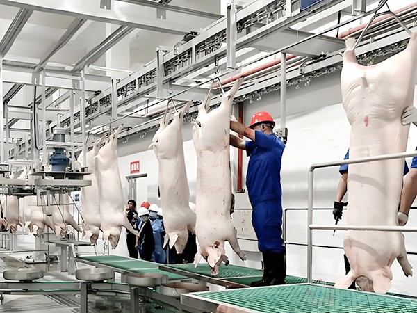 畜禽屠宰冷庫和肉類低溫冷庫的造價(jià)區(qū)別