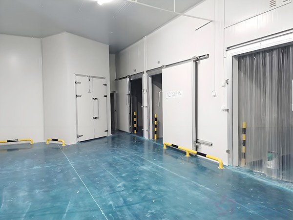 上海生物醫(yī)藥冷庫安裝造價多少錢？