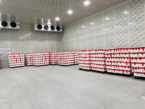 菠蘿蜜保鮮冷庫(kù)