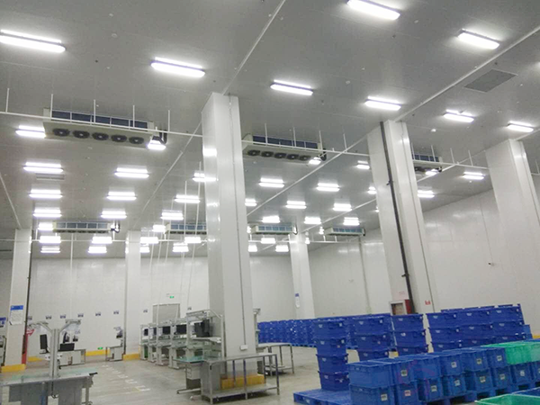 浙江海鮮冷庫(kù)安裝造價(jià)