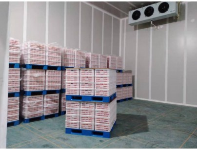 四川涼山·鹽源縣“三農(nóng)”服務氣調冷庫建設項目