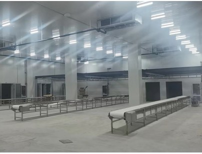 廣西大化起點農(nóng)牧2000m3畜禽肉類屠宰加工冷鏈中心建造冷庫工程案例